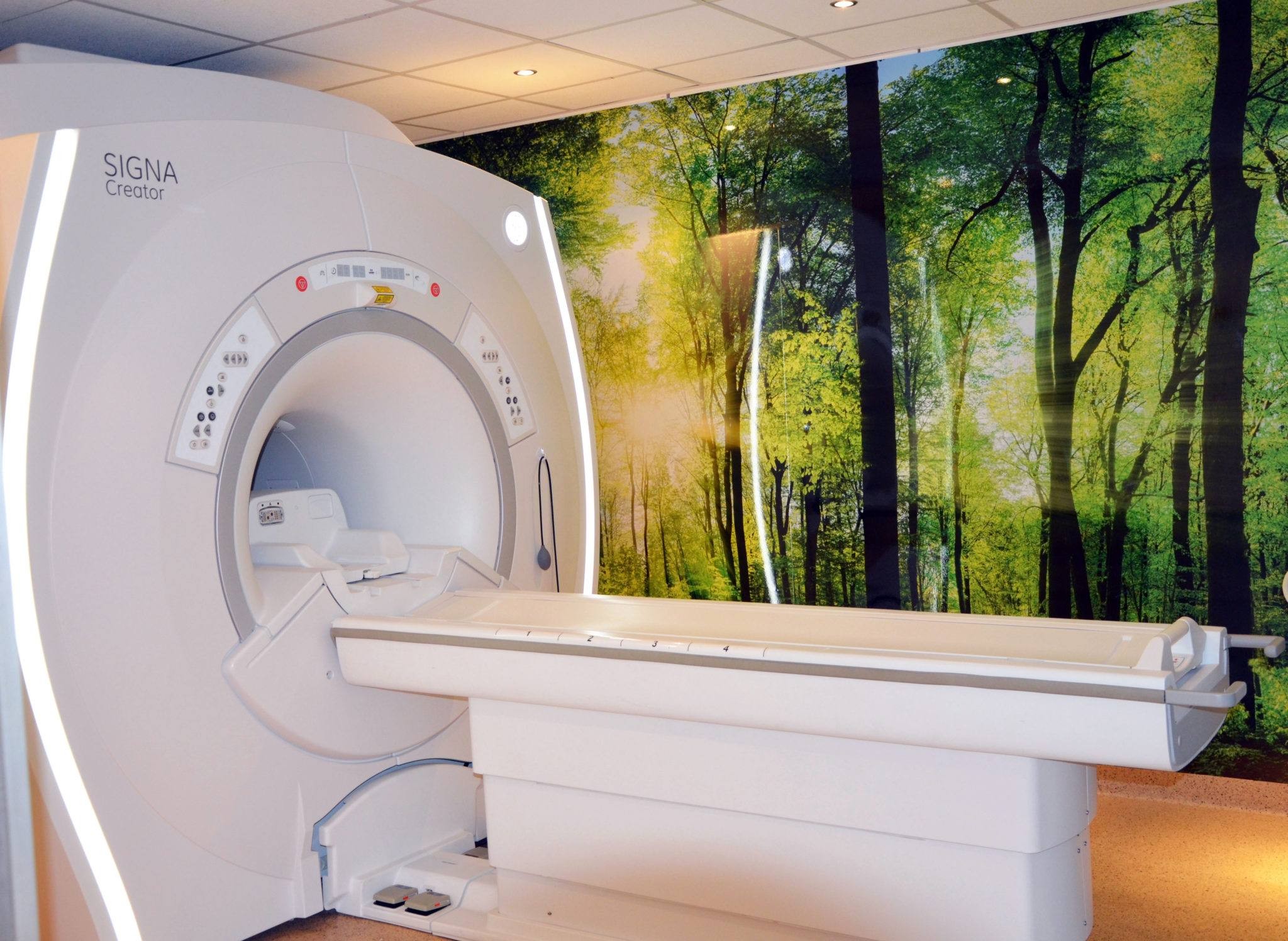Rewolucja Diagnostyczna: Zastosowanie Rezonansu Magnetycznego w Medycynie Nowoczesnej!